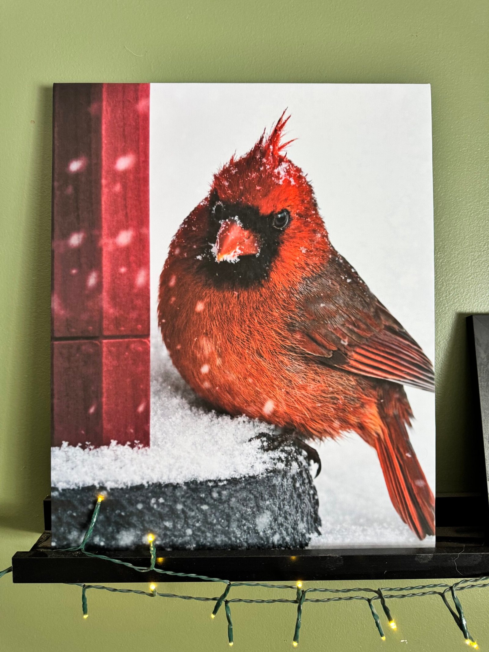 Canvas at Bridget's home