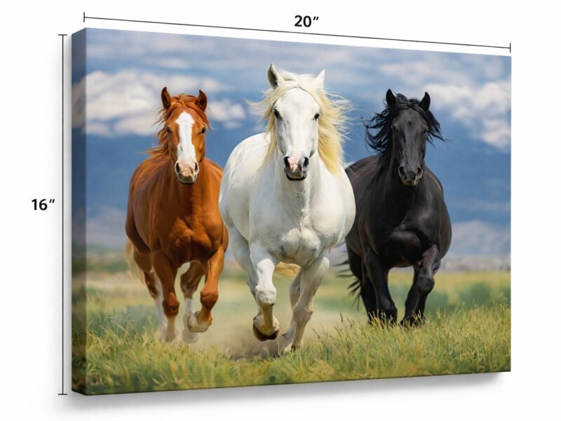 Wild Horses — Trio of Freedom Canvas