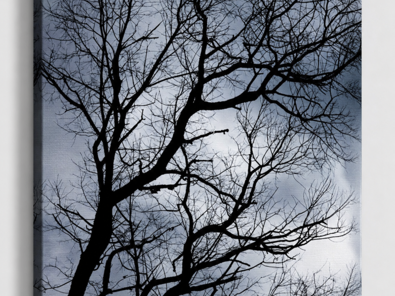 Winter Silhouette - Bare Tree Canvas
