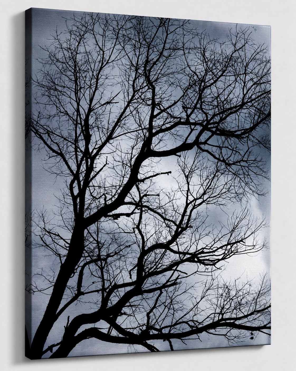 Winter Silhouette - Bare Tree Canvas