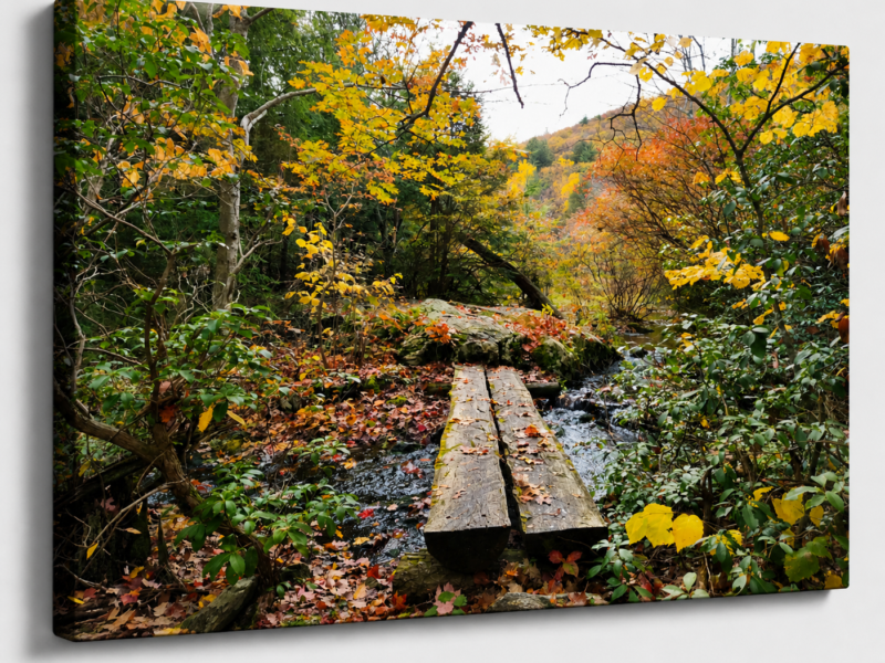 Hidden Forest Bridge -Autumn Canvas