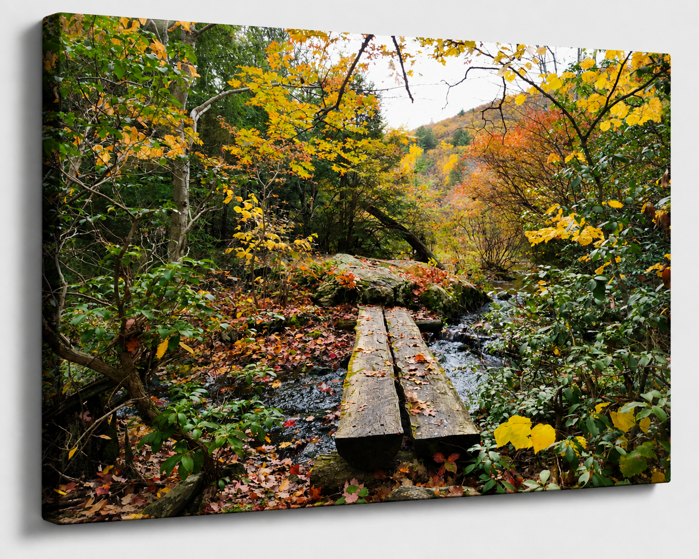 Hidden Forest Bridge -Autumn Canvas